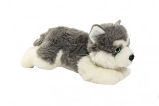Obrázek z Pes Husky ležící plyš 14x16x30cm 0m+ 